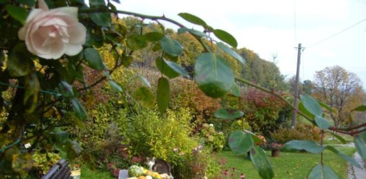 il giardino delle meraviglie