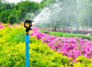 Tecniche di giardinaggio sostenibile