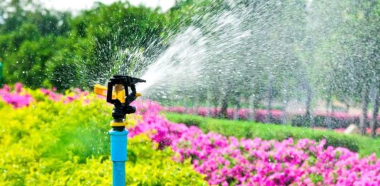 Tecniche di giardinaggio sostenibile